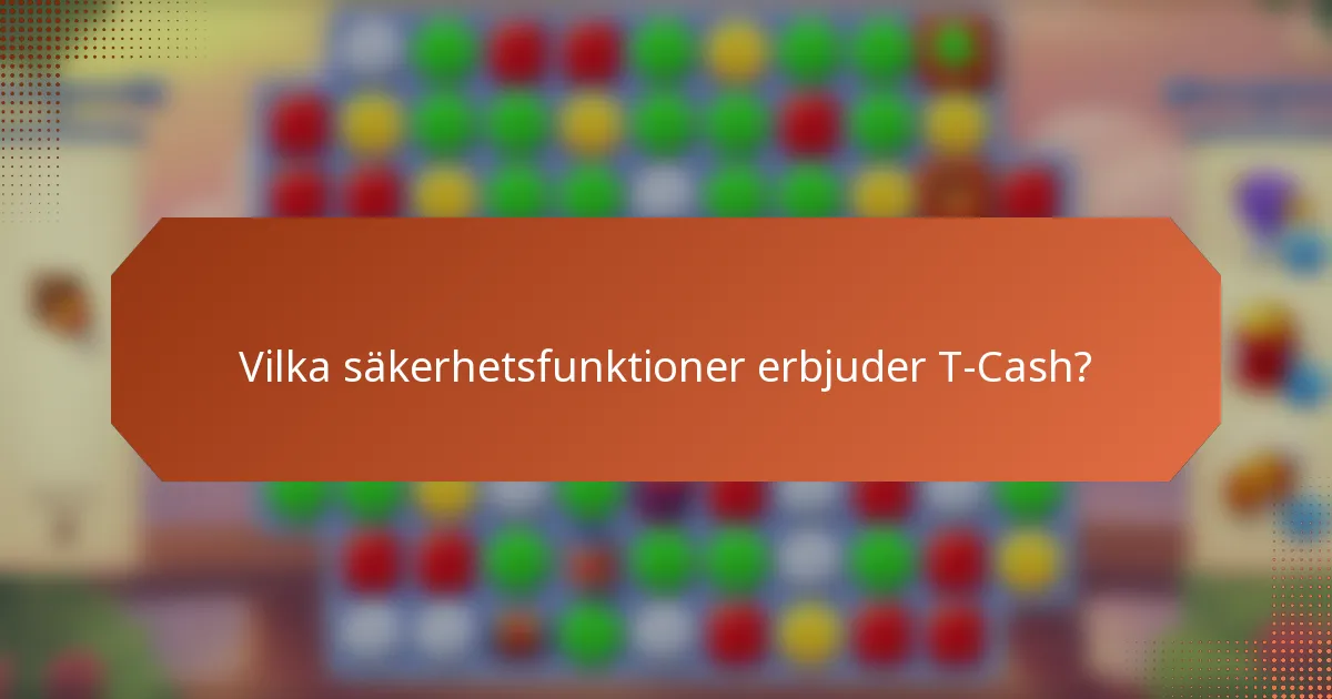 Vilka säkerhetsfunktioner erbjuder T-Cash?